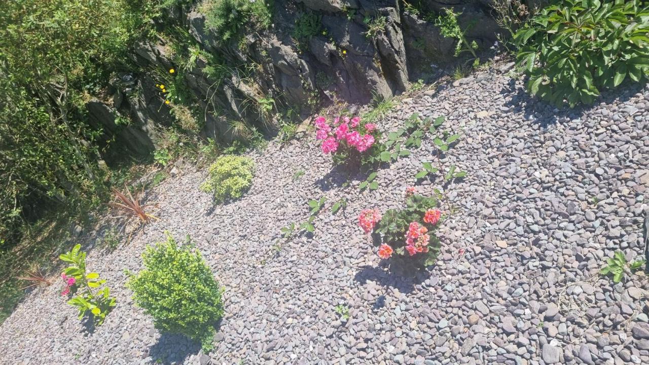 Fab View (Adults Only) Hotel Dingle Bagian luar foto